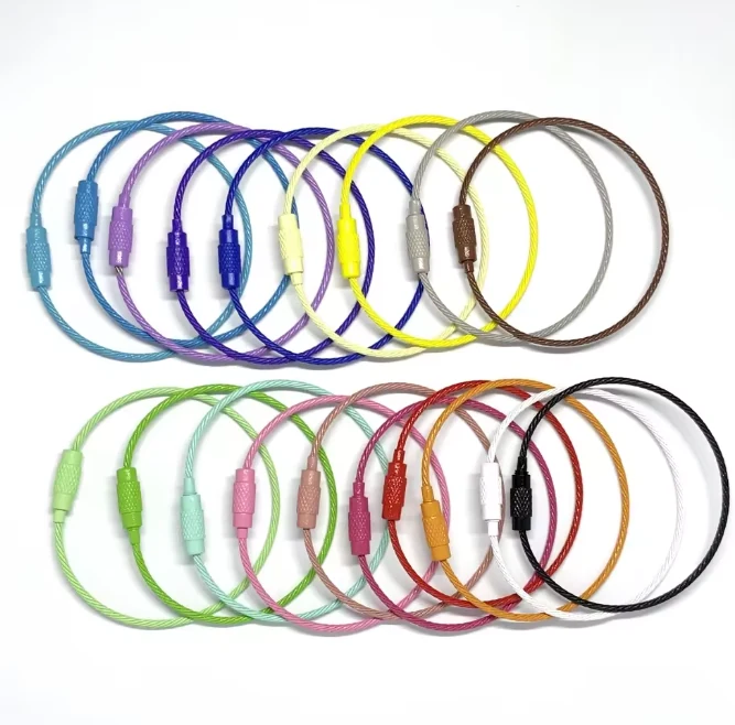 CDK080 Simple Colorful Keychain Stainless Steel Carabiner